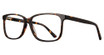 Eyera Eyeglasses Jeremy Tortoise