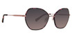 Trina Turk Eyeglasses Pimlico Purple/PUR