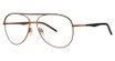 Randy Jackson Eyeglasses Randy Jackson Limited Edition X139 Black/Gold/235