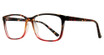 Eye Q Eyewear Eyeglasses EQ323 Tortoise/TORTOISE