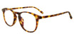 DIFF Eyeglasses Jaxson w/ blue light lens Amber Tortoise