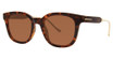 Modz Sunz Eyeglasses Maya Bay tortoise gold
