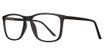 Eye Q Eyewear Eyeglasses SW235 Matte Black/Grey/BLACK