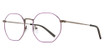 Visi Eyeglasses VS102 PURPLE/GUNMETAL/PUR