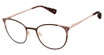 Ted Baker Eyeglasses TLW014 brown/BRN