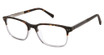 Ted Baker TFM019 tortoise/TOR