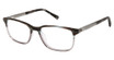 Ted Baker Eyeglasses TFM019 slate/SLA