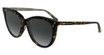 Calvin Klein Eyeglasses CK25508S N HAVANA/240
