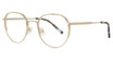 DKNY Eyeglasses DK1037 N GOLD/717