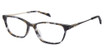 Laura Ashley Eyeglasses VIOLET GREY/GRY