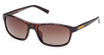Timberland Eyeglasses TB00057-H dark havana / brown polarized/52H