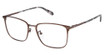 Cremieux Eyeglasses Grimaud Umber/UMBER