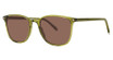 Paradigm Eyeglasses Arden Sun Fern/FE