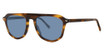 Paradigm Eyeglasses Raleigh Tortoise/TO