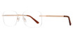 Eight to Eighty Eyewear Eyeglasses Roman Gold