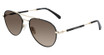 CALVIN KLEIN JEANS Eyeglasses CKJ20109S N SHINY BLACK/GOLD/718