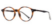 Step Up Eyeglasses Alvin Tortoise