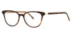 Paradigm Eyeglasses Sidney Tortoise/TO