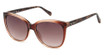 Fossil Eyeglasses FOS 3147/G/S/US CRYSBRWN C/0FL4