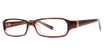 Modern Plastics I Eyeglasses Agree brown/gold