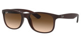Ray-Ban Eyeglasses RB4202 ANDY MATTE BROWN ON BROWN/607313
