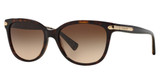 COACH Eyeglasses HC8132 L109 DARK TORTOISE/529113