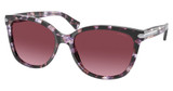 COACH Eyeglasses HC8132 L109 PURPLE TORTOISE/55488H