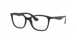 Ray-Ban Rx Eyeglasses RX7066 BLACK/2000