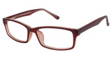 New Globe Eyeglasses M431-P Brown/BROWN