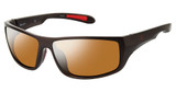 Champion Eyeglasses 6016 SHINY GRAPHITE/C05