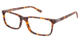 XXL Eyewear Eyeglasses Terrapin Tortoise/TORTOISE