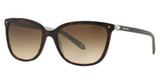 Tiffany Eyeglasses TF4105HB HAVANA ON TIFFANY BLUE/81343B