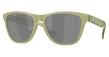 Oakley Eyeglasses OO9013 FROGSKINS MATTE FERN/9013M2