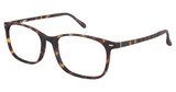 VÄRi Eyeglasses VR8 New Tort/C10
