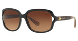COACH Eyeglasses HC8169 L149 BLACK/535313