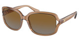 COACH Eyeglasses HC8169 L149 TRANSPARENT BROWN/5561T5