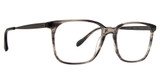 Badgley Mischka Eyeglasses Baldwin Grey Horn/GYH