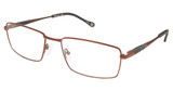 Champion Eyeglasses 4013 Brown/C03