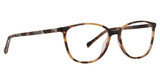 Vera Bradley Eyeglasses VB Colene Bordeaux Blooms/BDB