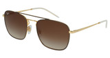 Ray-Ban Eyeglasses RB3588 BROWN ON ARISTA/905513