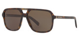 DOLCE & GABBANA Eyeglasses DG4354 HAVANA/502/73