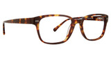 Life is Good Eyeglasses Drew Tortoise/TOR