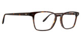 Badgley Mischka Eyeglasses Hayes Tortoise/TORT