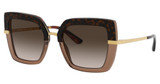 DOLCE & GABBANA Eyeglasses DG4373 HAVANA ON TRANSPARENT BR/325613