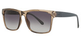 Guess? Eyeglasses GU00004 grey/other / gradient smoke/20B