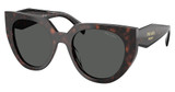 Prada Eyeglasses PR 14WS ROOT TORTOISE/17N40L