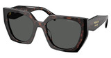 Prada Eyeglasses PR 15WSF ROOT/BLACK/24B40L