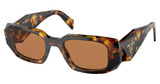 Prada Eyeglasses PR 17WS HONEY TORTOISE/VAU2Z1