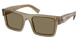 Prada Eyeglasses PR 19WS TERRA/29E90F