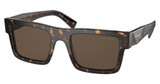Prada Eyeglasses PR 19WS TORTOISE/2AU8C1